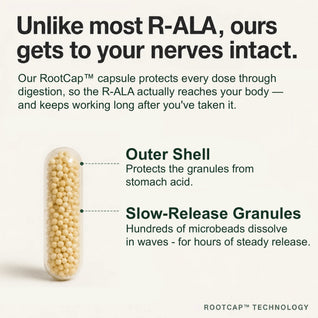 Stabilized R-ALA 600mg - Advanced Nerve Support for Burning, Tingling & Numbness