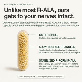 Stabilized R-ALA 600mg - Advanced Nerve Support for Burning, Tingling & Numbness