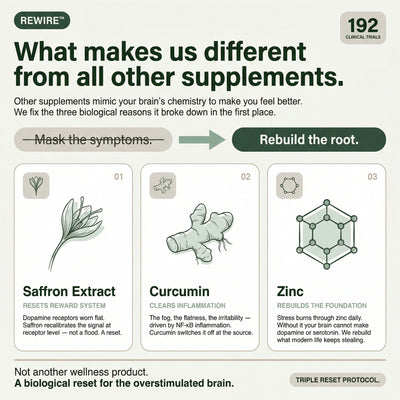 Saffron, Curcumin & Zinc for Dopamine Burnout, Brain Fog & Emotional Flatness