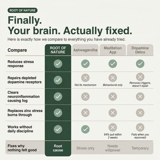 Saffron, Curcumin & Zinc for Dopamine Burnout, Brain Fog & Emotional Flatness
