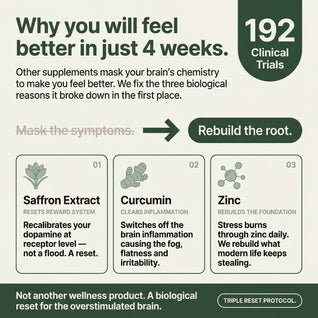 Saffron, Curcumin & Zinc for Dopamine Burnout, Brain Fog & Emotional Flatness
