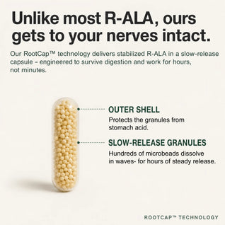 Stabilized R-ALA 600mg - Advanced Nerve Support for Burning, Tingling & Numbness
