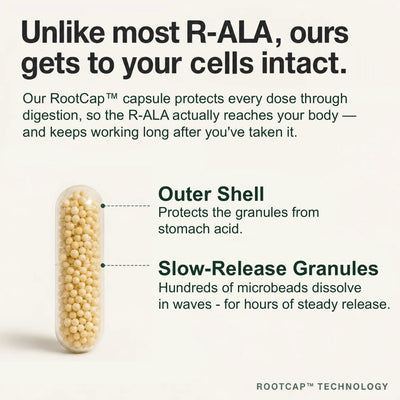 RootCap slow-release capsule